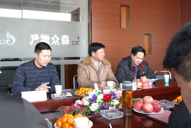 林口县政府与南宁力行家电维修服务有限公司燃气项目洽谈.png